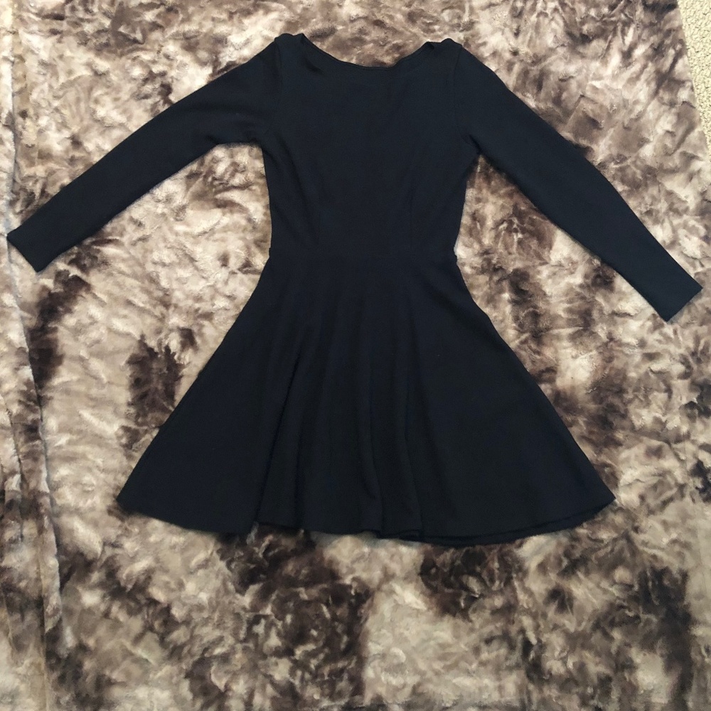 American Apparel Longsleeve Skater Dress